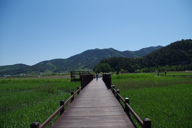 3-Day Korea Western course by K-shuttle Tour from Seoul to Busan - Day 2 in western Korea: democracy memorial, Suncheon flowers, and Admiral Yi’s national-treasure hall