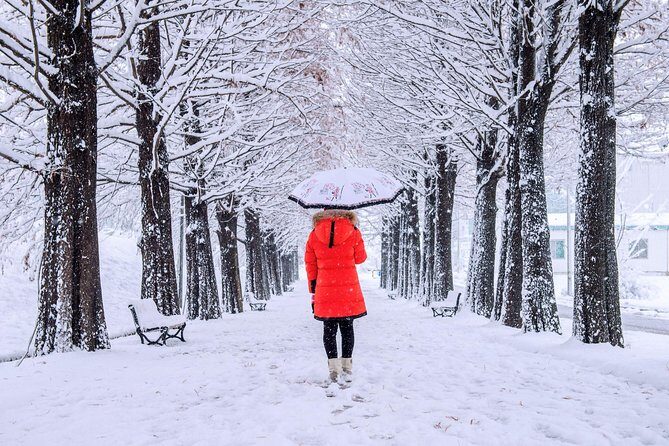 All Day Private Make your own plan tour to Nami Island and others - Yansuri: A First Outdoor Stop to Set the Tone