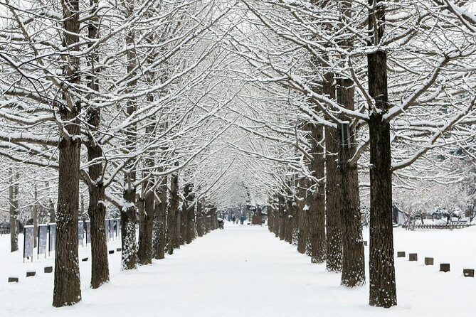 All Day Private Make your own plan tour to Nami Island and others - Garden of Morning Calm: Quiet Grounds and Winter Light Power