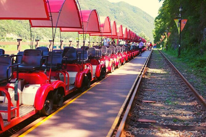 Alpaca World and Nami Island with Gangchon Rail Bike Tour - The 10-hour Seoul plan: how it stays organized