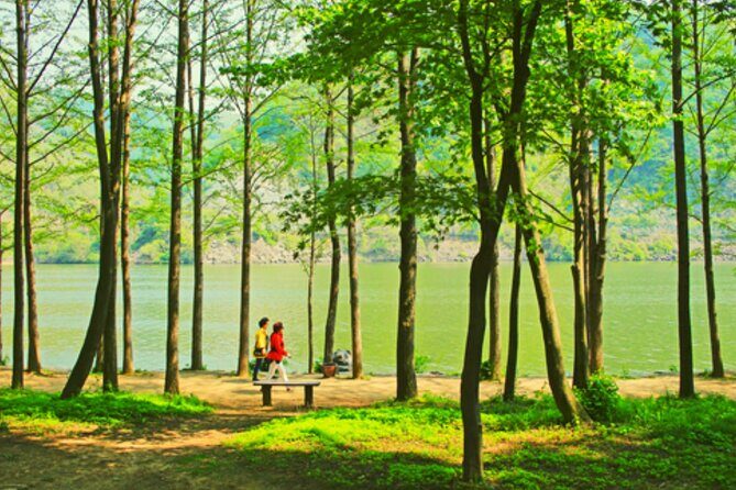 Alpaca World and Nami Island with Gangchon Rail Bike Tour - Alpaca World: the farm stop where time turns soft