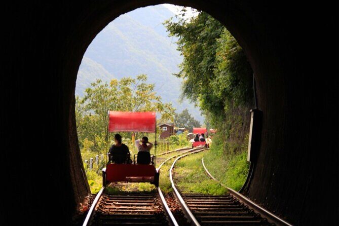 Alpaca World and Nami Island with Gangchon Rail Bike Tour - Tour guides: why the host style affects the whole day