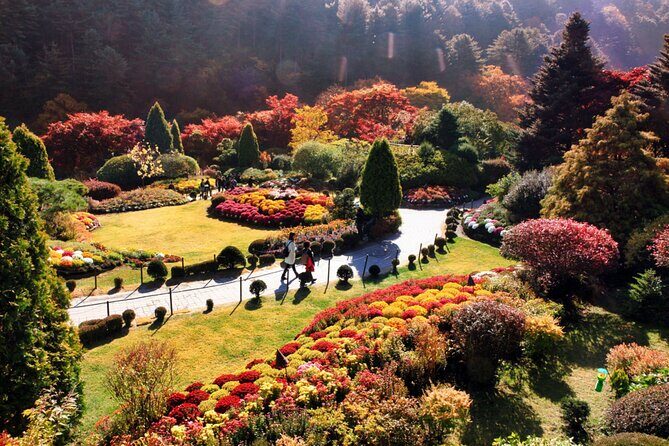Alpaca World & Nami Island & Garden of Morning Calm One Day Tour - Three Stops, One Seoul Day: What You Really Get