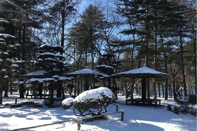 Alpaca World & Nami Island & Garden of Morning Calm One Day Tour - Nami Island: Winter Sonata Trees and Photo Spots