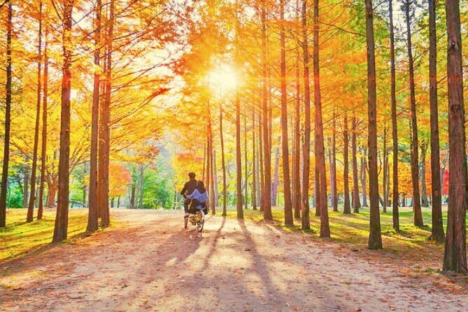 Alpaca World & Nami Island & Garden of Morning Calm One Day Tour - Garden of Morning Calm: A Peaceful End in Cold Season