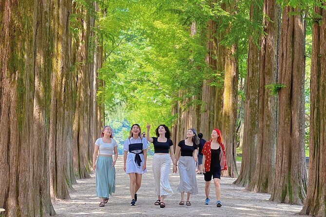 Alpaca World & Nami Island & Garden of Morning Calm One Day Tour - Should You Book This One-Day Tour from Seoul?