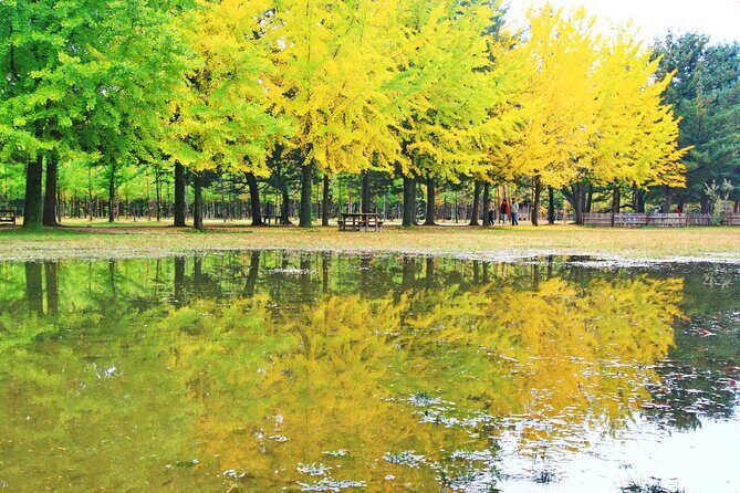 Alpaca World Tour with Nami Island (optional Railbike or Garden) - Optional add-on: Garden of Morning Calm light festival vibes