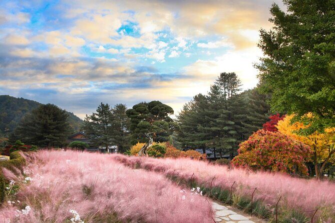 Alpaca World Tour with Nami Island (optional Railbike or Garden) - How the whole day feels: timing, traffic, and avoiding the scramble