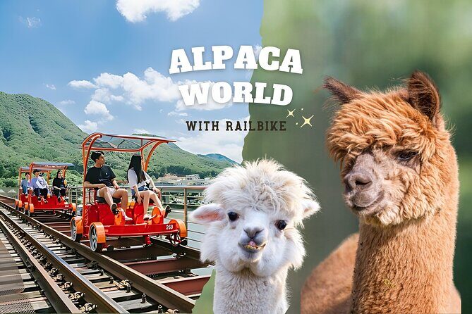 Alpaca World with Gangchon Rail Park One Day Tour - Key highlights you’ll feel right away