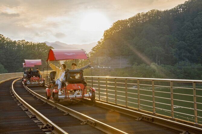 Alpaca World with Gangchon Rail Park One Day Tour - A 10-Hour Mix of Alpacas, Railbike Motion, and Countryside Views