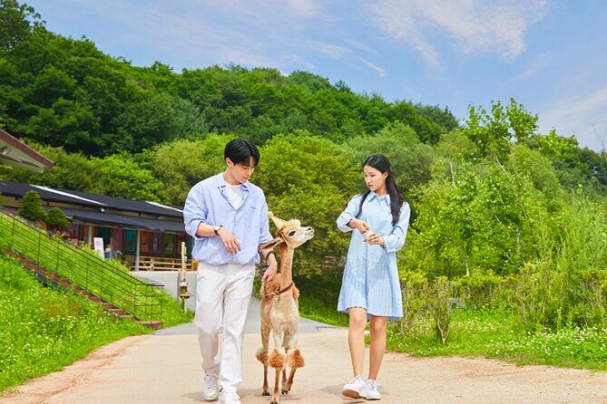Alpaca World with Gangchon Rail Park One Day Tour - Gangchon Rail Park Railbike: Pedaling Old Tracks by the Bukhan River