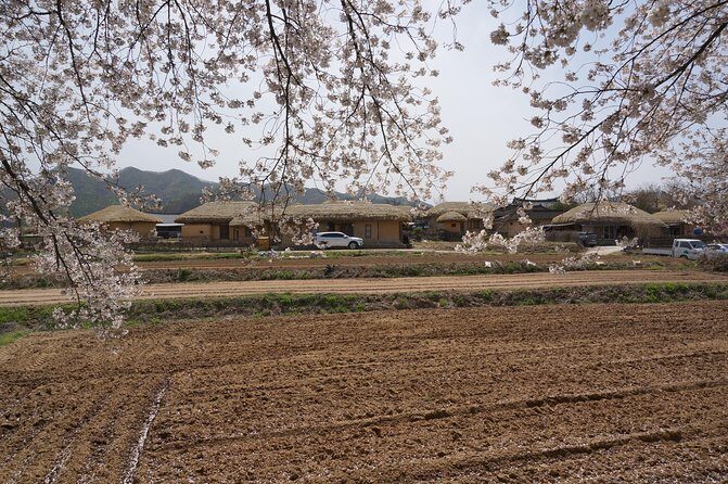 Andong Hahoe Folk Village [UNESCO World Heritage] Private Tour from Seoul - Guides and pacing: when it clicks, it really clicks
