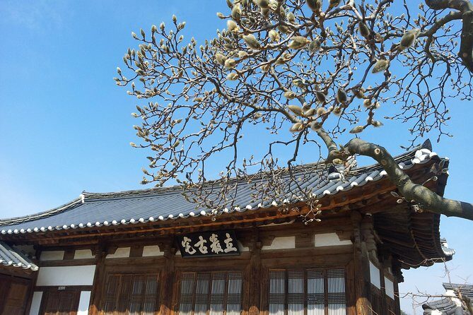 Andong Hahoe Village [UNESCO site] Premium Private Tour from Seoul - Buyongdae cliff views: the 64-meter reason to stand still