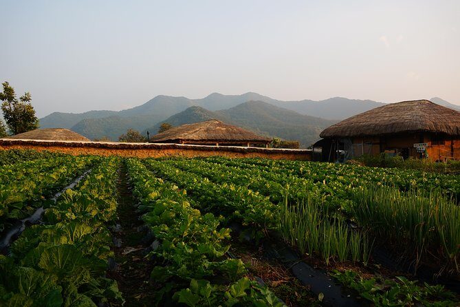 Andong Hahoe Village [UNESCO site] Premium Private Tour from Seoul - Byeongsan Seowon: a Confucian school you can feel in your body