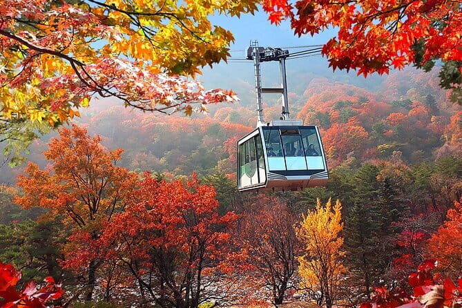 Autumn Foliage-Mt. Seorak, Sokcho Fish Market, Sokcho Beach - Key highlights to know before you go