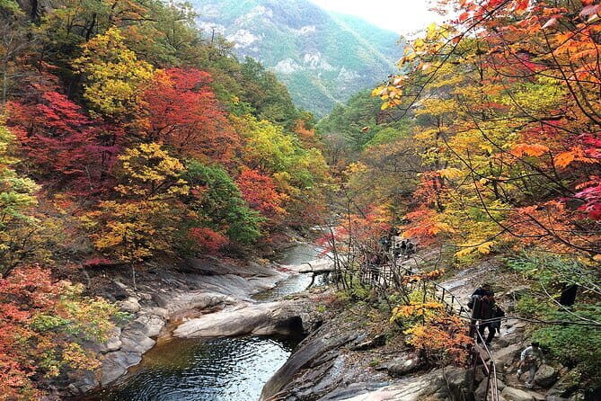 Autumn Foliage-Mt. Seorak, Sokcho Fish Market, Sokcho Beach - Why this Seoraksan–Sokcho day trip makes sense for autumn