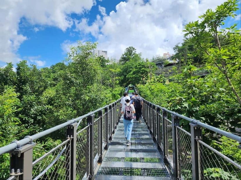 Closest Observatory to DMZ: North Korea View(Starbucks Tour) - Free time at the park: peace symbolism you can walk through
