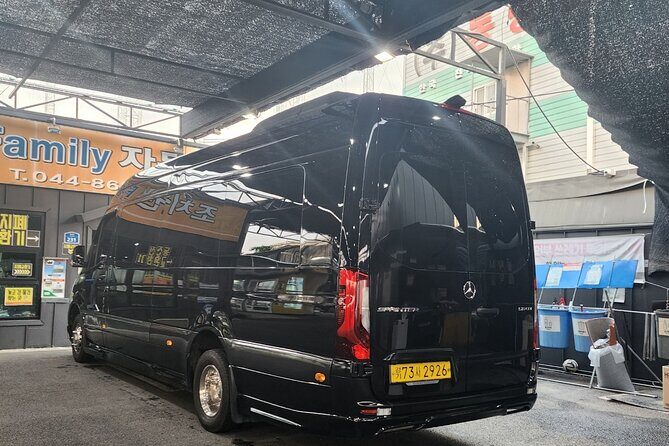 Customizable Private Seoul Tour in luxury van for VIP - Price and Value: What $700 Gets You (and When It Feels Worth It)
