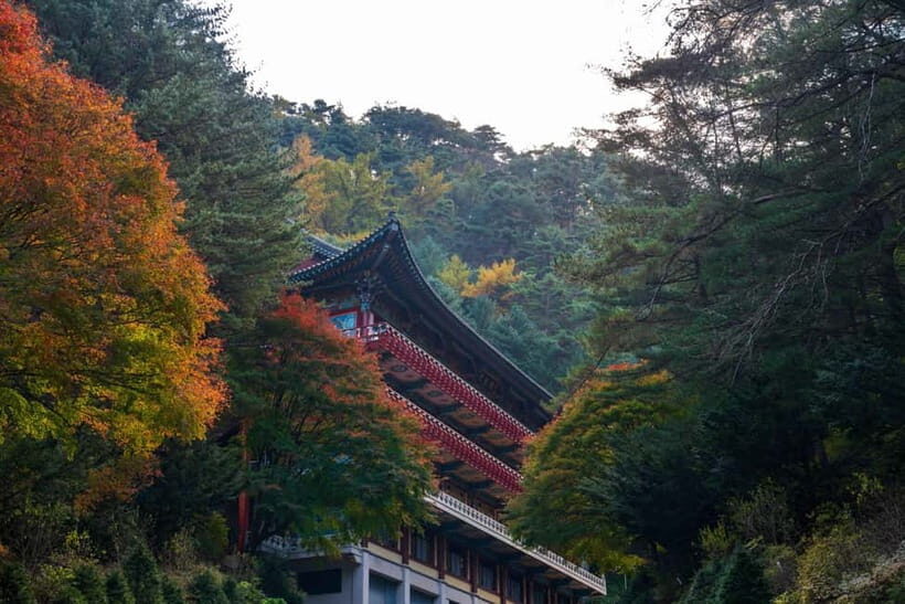 Danyang Tour:Guinsa Temple & Bobaljae & Cheongpung Cable Car - Temple Food and the Monk-Style Break You’ll Be Glad You Took
