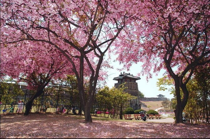 Day Tour of Suwon Hwaseong Fortress Starfield Waujeongsa Temple - Timing, pacing, and what to pack so the day feels good