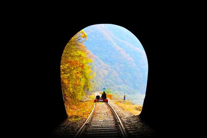 Day Tour to Gangchon Rail Bike Nami Island and Petite France - Nami Island: drama backdrops plus a real-time break from Seoul