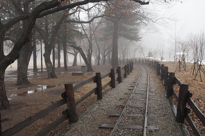 Day Tour to Gangchon Rail Bike Nami Island and Petite France - Who should book this day trip (and who might skip it)