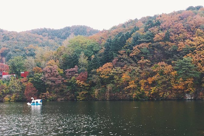 Day Tour to Gangchon Rail Bike Nami Island and Petite France - Morning logistics: starting at 8:40am and staying on pace