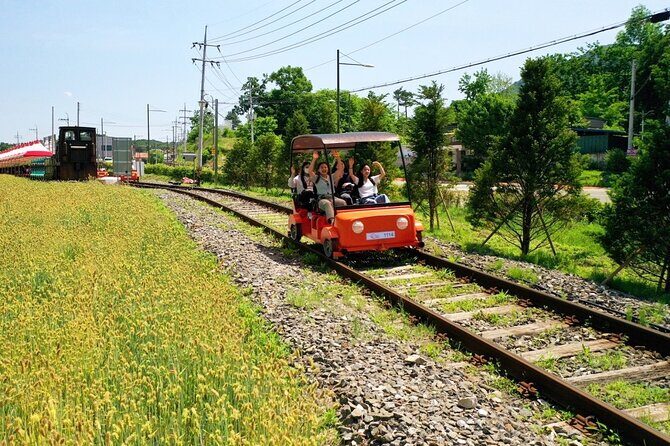 Day Trip to Nami Island with Rail bike and The Garden of Morning Calm - Nami Island: free time, tree-lined walks, and what to watch for