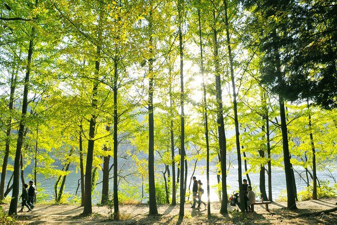 Day Trip to Nami Island with Rail bike and The Garden of Morning Calm - Gangchon Rail Bike: the countryside ride you’ll remember