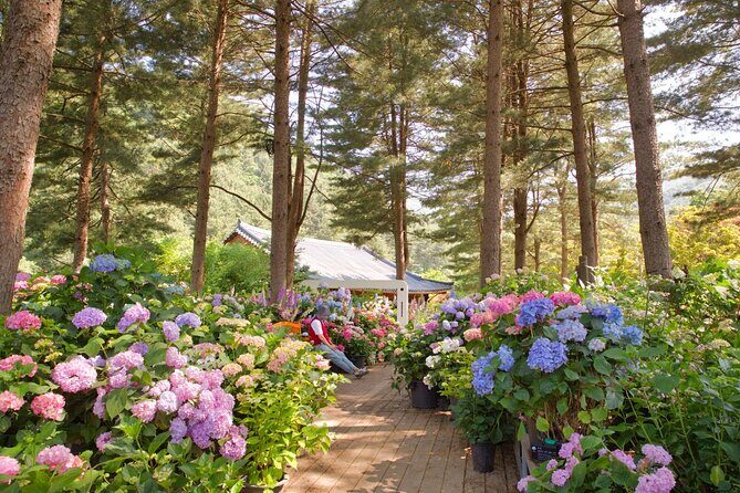 Day Trip to Nami Island with Rail bike and The Garden of Morning Calm - Who this day trip suits best (and who should rethink it)