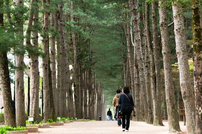 Day Trip to Nami Island with Rail bike and The Garden of Morning Calm - Garden of Morning Calm: peace first, photos second