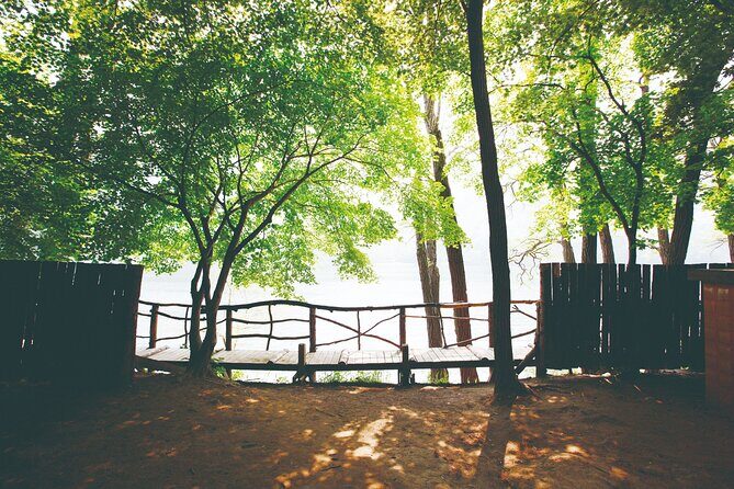 Day Trip to Nami Island with The Garden of Morning Calm - Before You Go: Simple Packing and Timing Moves That Help