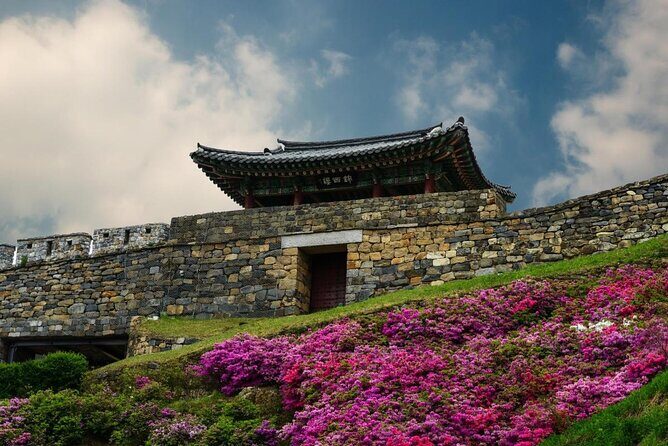 Discover Western Korea in 4days: All-Inclusive Experience - Day 4 in Busan: a solemn ending at the UN Memorial Cemetery