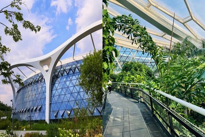 DIY Seoul Private Tour: Select 4 places you want to go - Food streets and real market energy: Gwangjang and Mangwon
