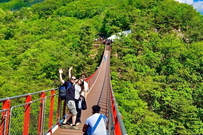 DMZ Guided Tour & Suspension Bridge / North Korean Defector - The DMZ Main Stops You’ll Be Guided Through