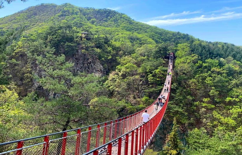 DMZ; NK Defector, 3rd Tunnel, Suspension Bridge,Hotel pickup - Key things I’d circle before booking