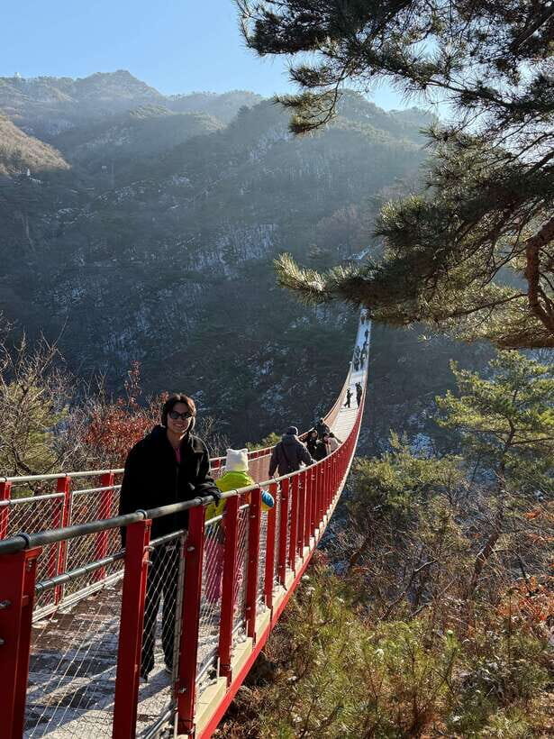 DMZ; NK Defector, 3rd Tunnel, Suspension Bridge,Hotel pickup - Price and value: about $45 for a controlled-day itinerary