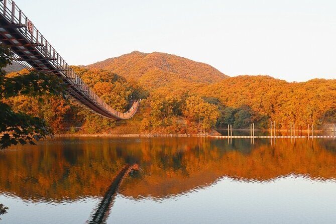 DMZ Private Tour: 3rd Tunnel, Option(Suspension Bridge, Boat) - Lunch, water, and air-conditioned comfort: the unsung value