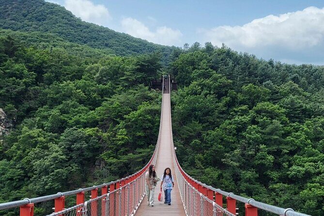 DMZ Tour Seoul to North Korea's 3rd Tunnel & Majang Lake Crossing - Tongilchon-Gil Soy Village Moment and the Jangdan Soybean Stop