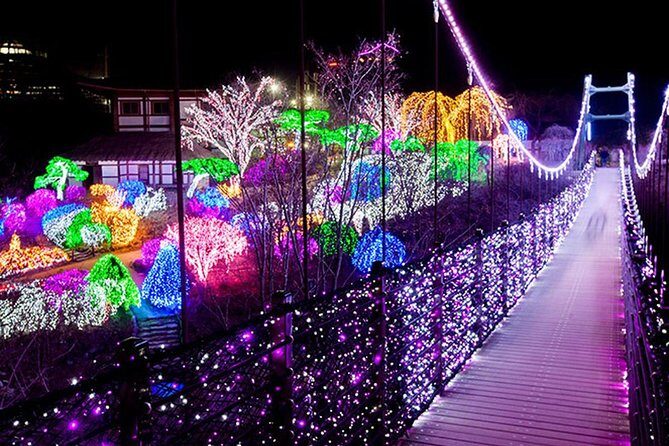 Easy private tour to Nami Island, Garden of Morning Calm - The Guide Factor: When Private Means Personal Help