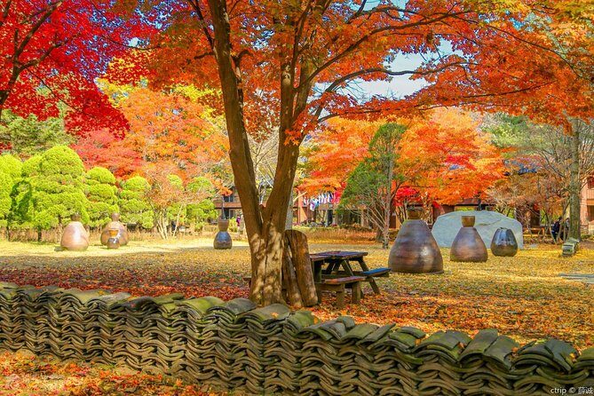 Easy private tour to Nami Island, Garden of Morning Calm - Price and Logistics: What You’re Actually Paying For