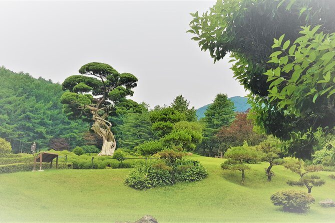 Easy private tour to Nami Island, Garden of Morning Calm - Who This Tour Fits Best (and Who Might Want Another Option)