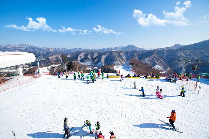 Elysian Gangchon Winter Ski with Nami Island Day Tour from Seoul - Key Points at a Glance