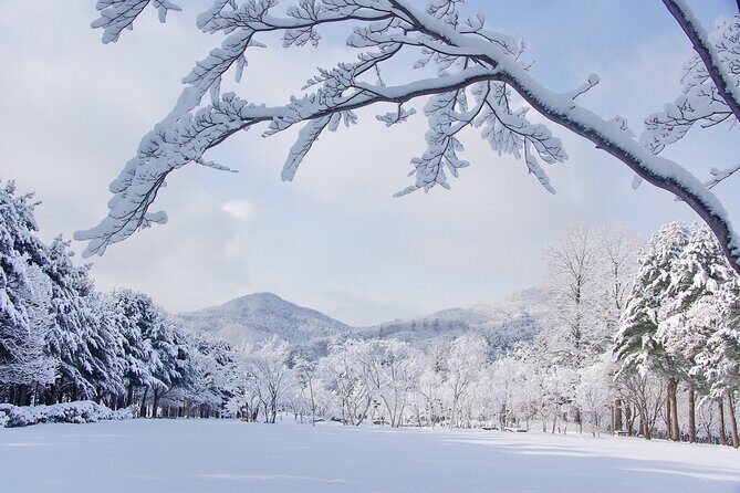 Elysian Gangchon Winter Ski with Nami Island Day Tour from Seoul - Elysian Gangchon Ski Time: Gear, Lift Access, and a 1-Hour Lesson