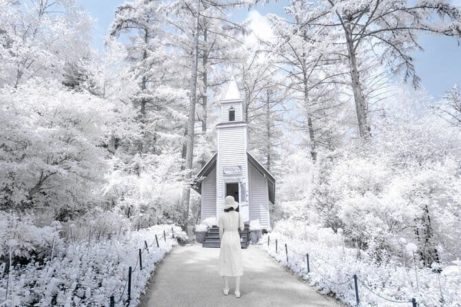 Eobi Ice Valley, Nami Island, Morning Calm and Rail Bike Seoul - Key highlights to know before you go