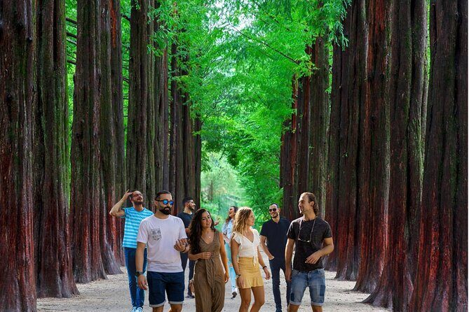 Eobi Ice Valley& Nami Island with Garden of Morning Calm Trip - A fast-hit Seoul day trip: what 10 hours really means