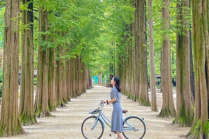 Eobi Ice Valley& Nami Island with Garden of Morning Calm Trip - Transport and timing: how the day stays organized