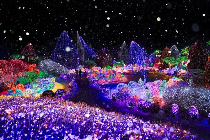 Eobi Ice Valley& Nami Island with Garden of Morning Calm Trip - Nami Island in winter: Winter Sonata calm and tree-lined walks