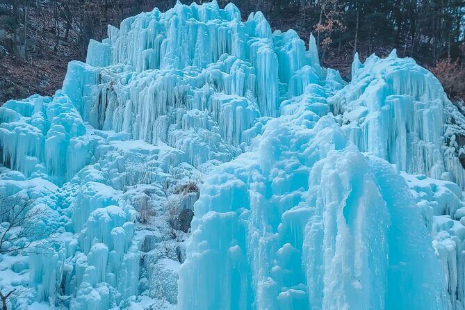 Eobi Ice Wall & Nami Island & Morning Calm Light Festival - The Garden of Morning Calm at night: when the tour earns its name