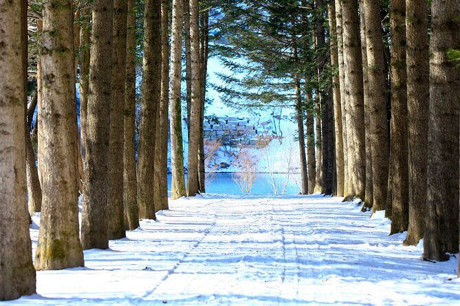 Eobi Ice Wall & Nami Island & Morning Calm Light Festival - Price and value: $74.33 buys structure, tickets, and less guesswork